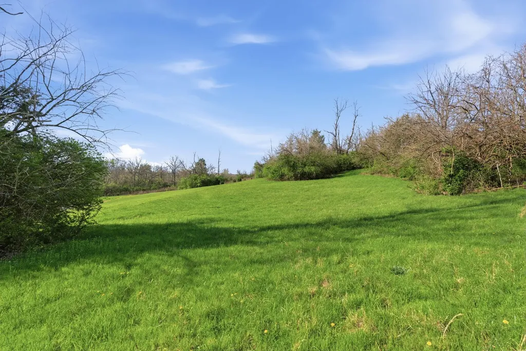 409 Pedro Pike Cynthiana KY 41031