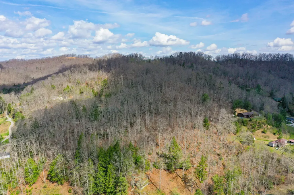 0000 Laurel Branch Road Stinnett KY 40868