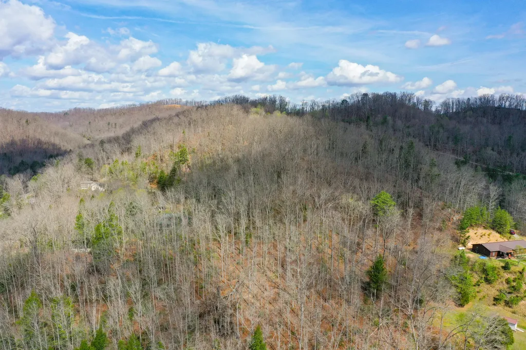 0000 Laurel Branch Road Stinnett KY 40868
