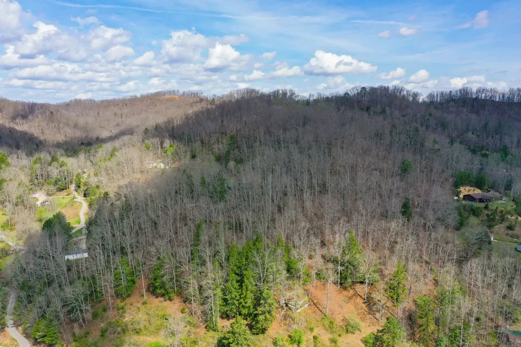 0000 Laurel Branch Road Stinnett KY 40868