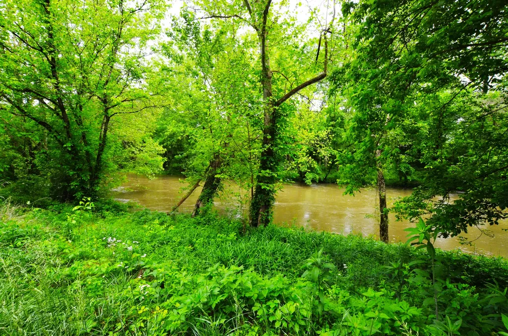 73 Butter Point Road Jackson KY 41339