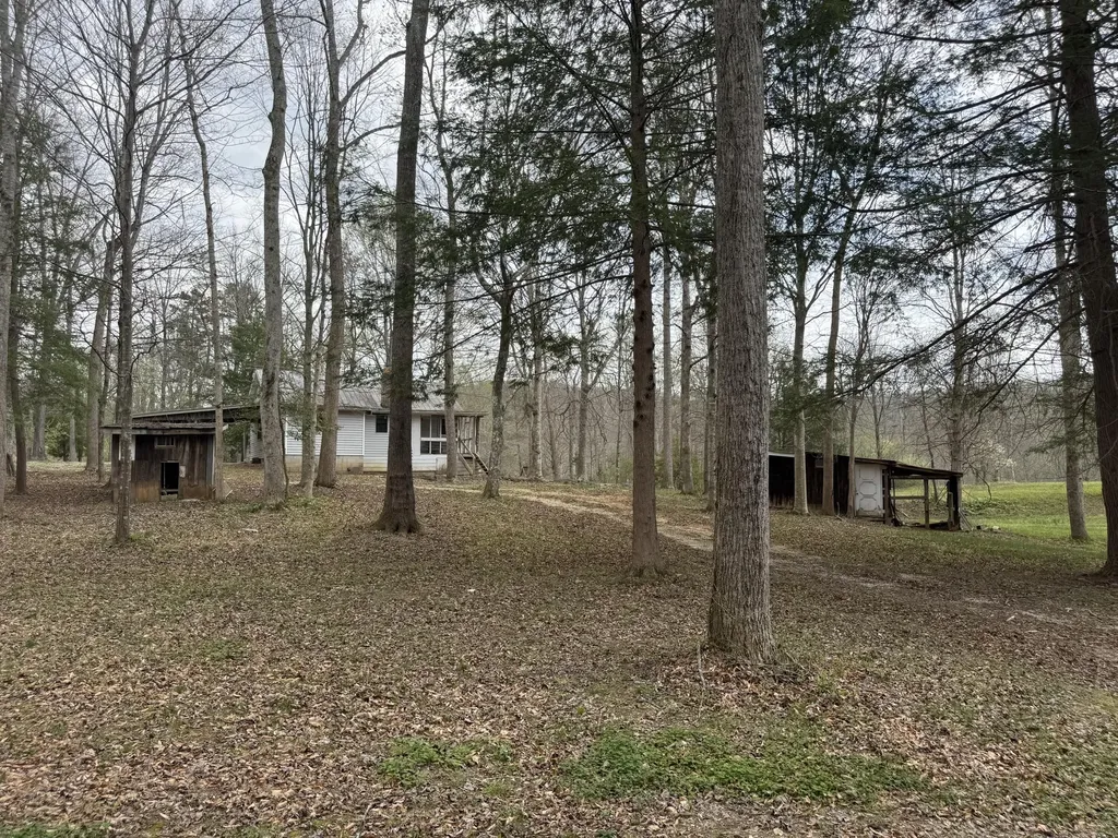 1906 Green Ford Road Monticello KY 42633
