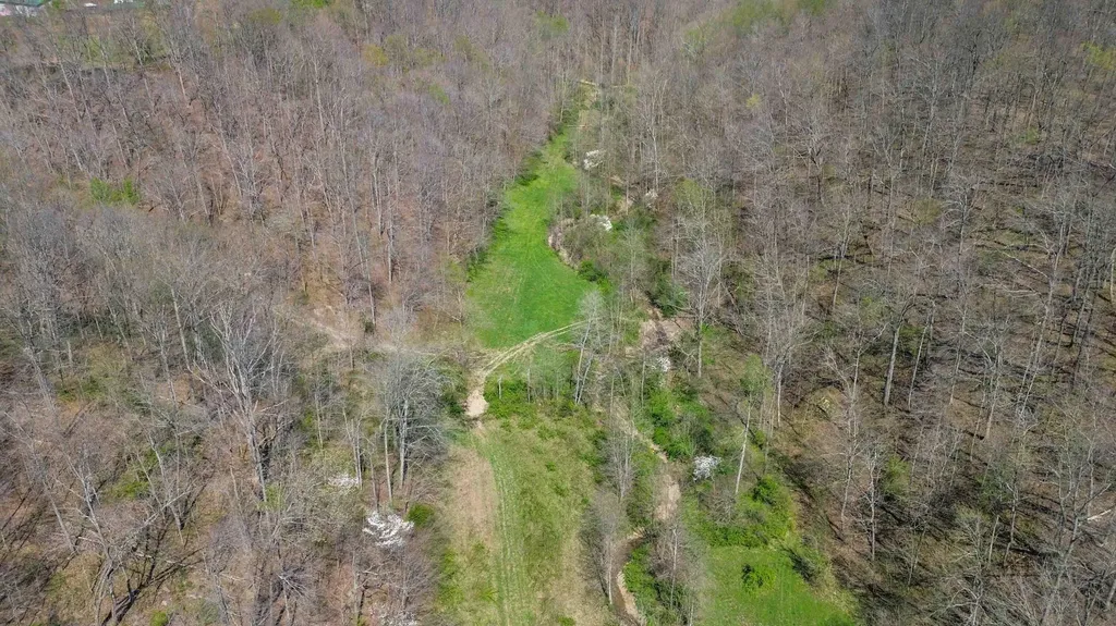 1461 Greasy Ridge Road Stanford KY 40484