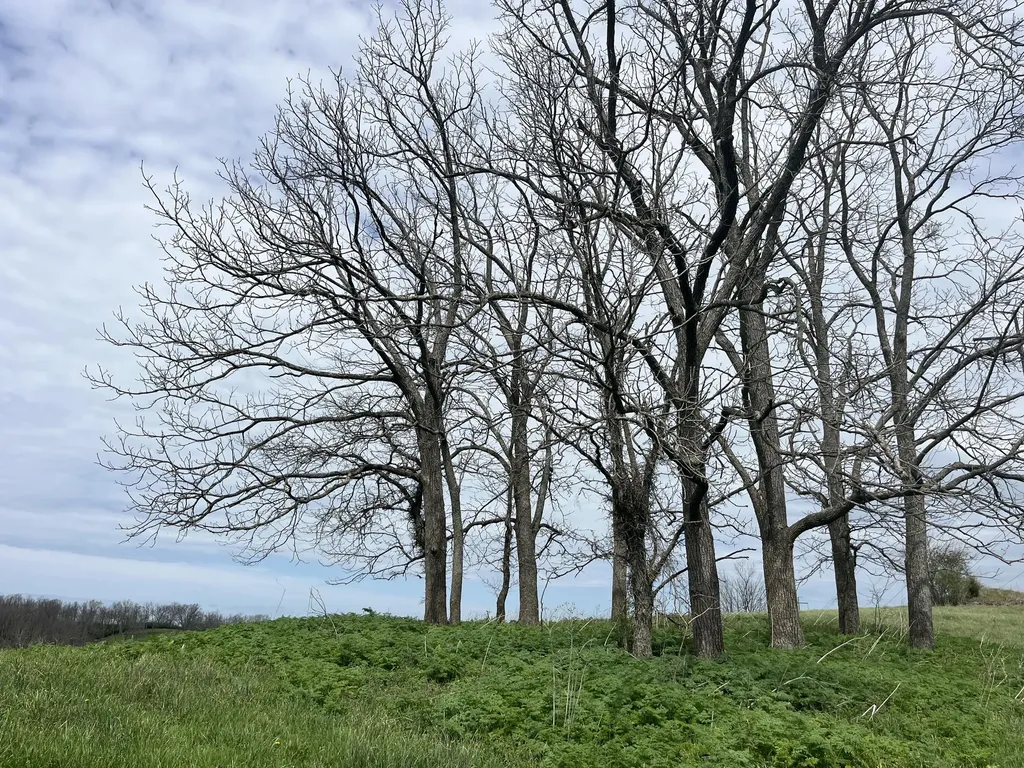 3056 Irvine Road Winchester KY 40391