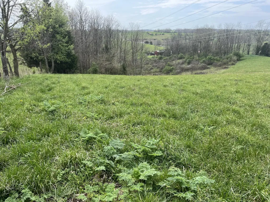 3056 Irvine Road Winchester KY 40391