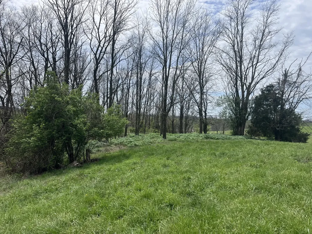 3056 Irvine Road Winchester KY 40391