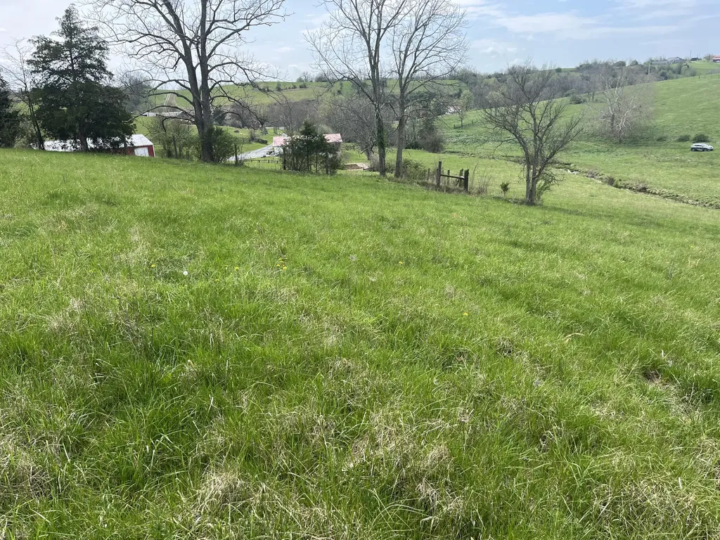 3056 Irvine Road Winchester KY 40391