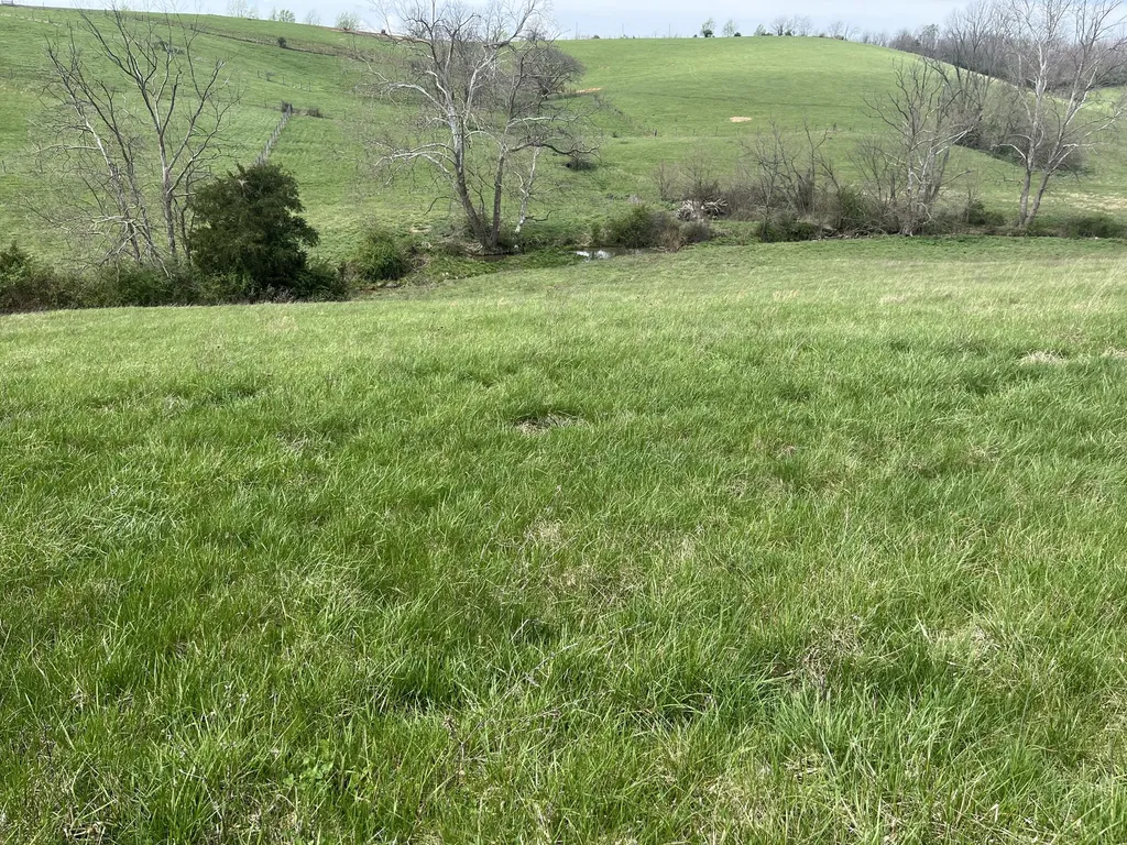 3056 Irvine Road Winchester KY 40391