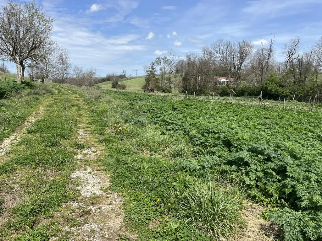3056 Irvine Road Winchester KY 40391