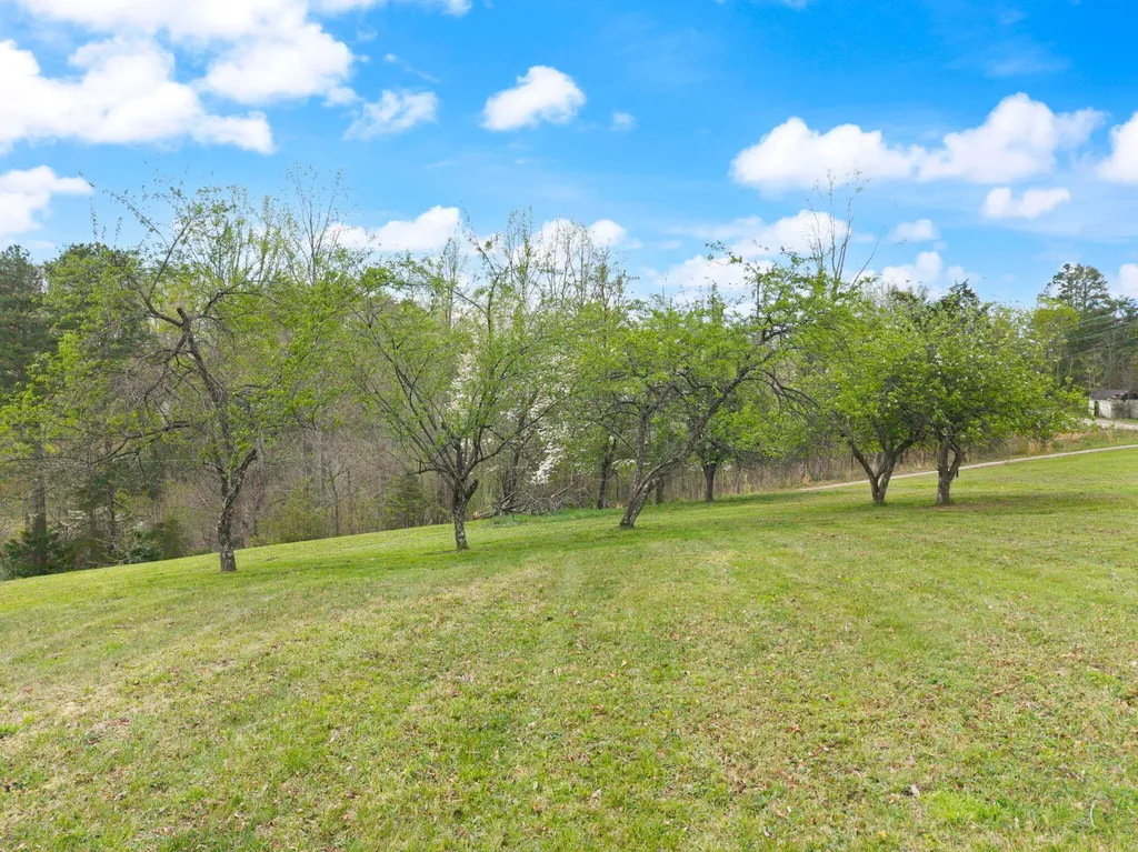 7800 Highway 1643 Somerset KY 42501