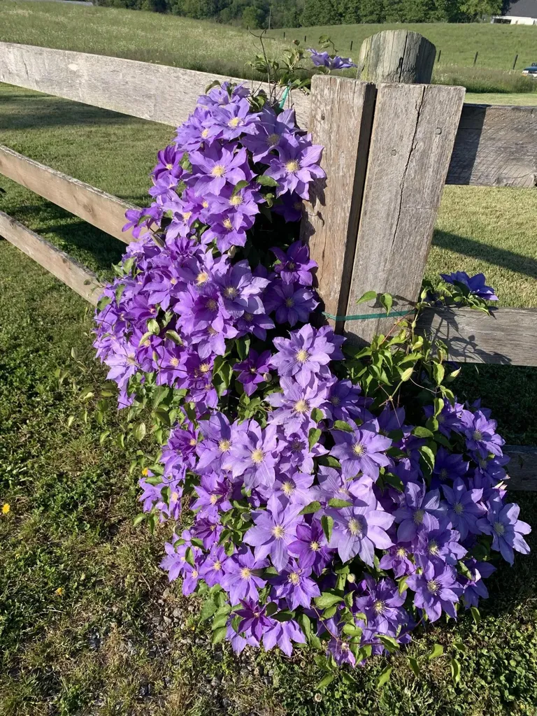 2477 State Highway 1194 Stanford KY 40484