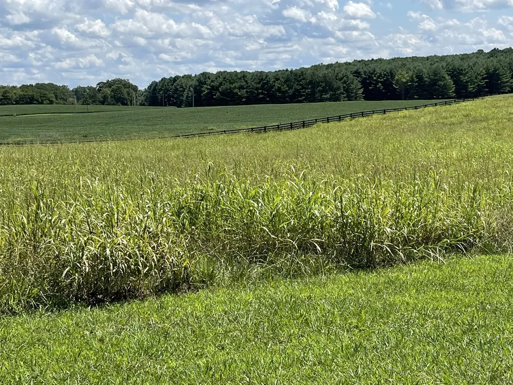 40 Beacon Street Russell Springs KY 42642