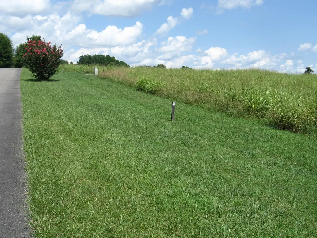 40 Beacon Street Russell Springs KY 42642