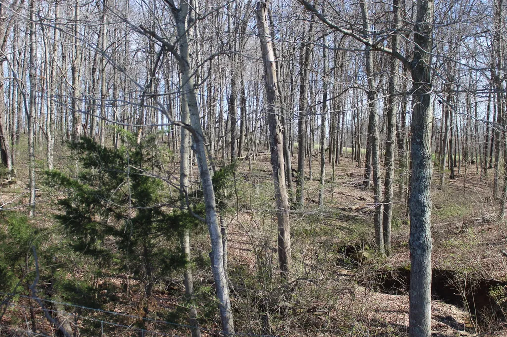 1480 Poindexter Road Cynthiana KY 41031