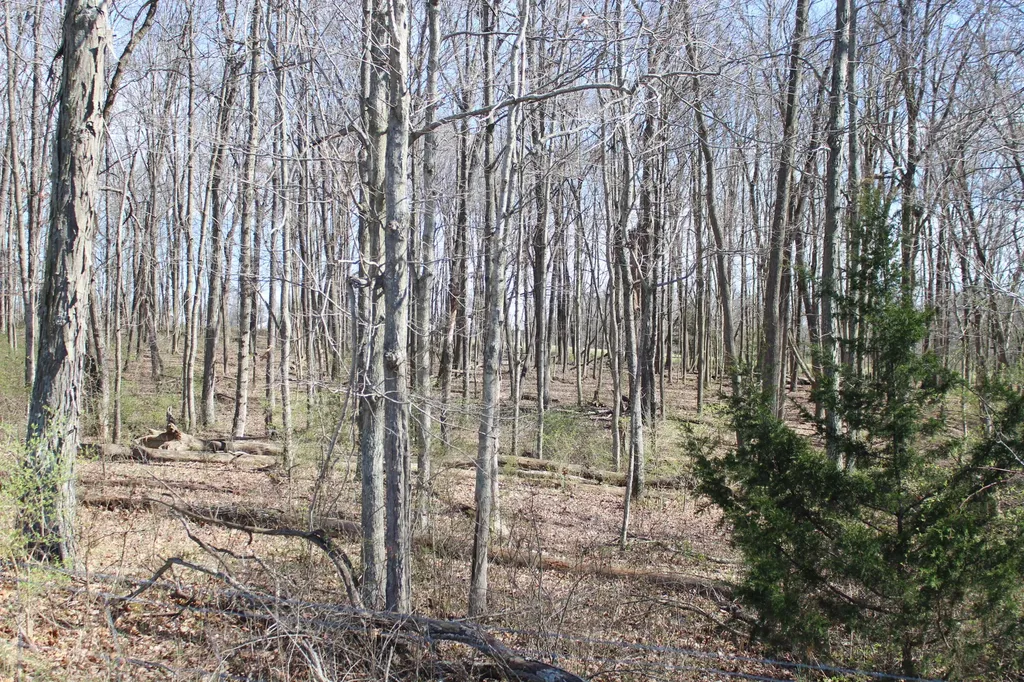 1480 Poindexter Road Cynthiana KY 41031