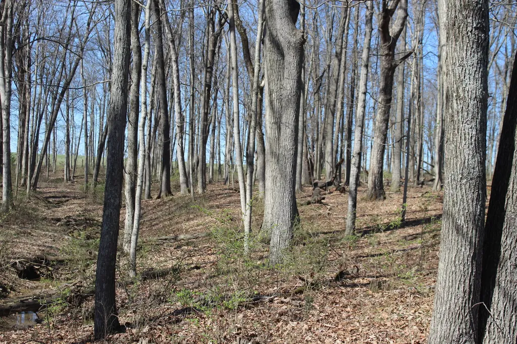 1480 Poindexter Road Cynthiana KY 41031