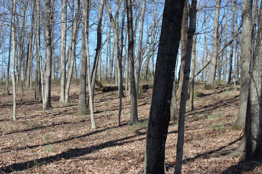 1600 Poindexter Road Cynthiana KY 41031