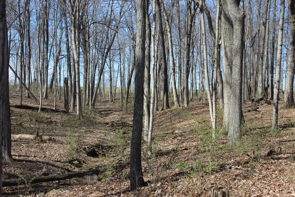 1694 Poindexter Road Cynthiana KY 41031