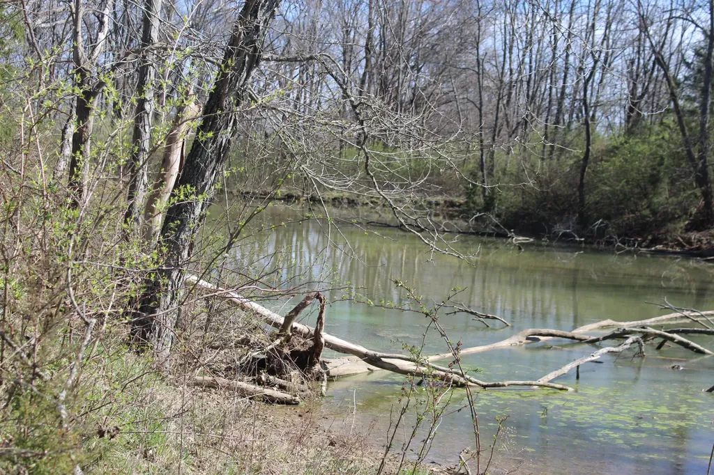 1802 Poindexter Road Cynthiana KY 41031