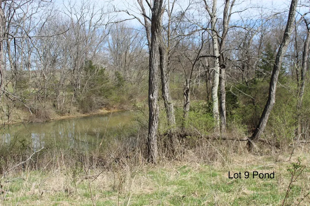 1802 Poindexter Road Cynthiana KY 41031
