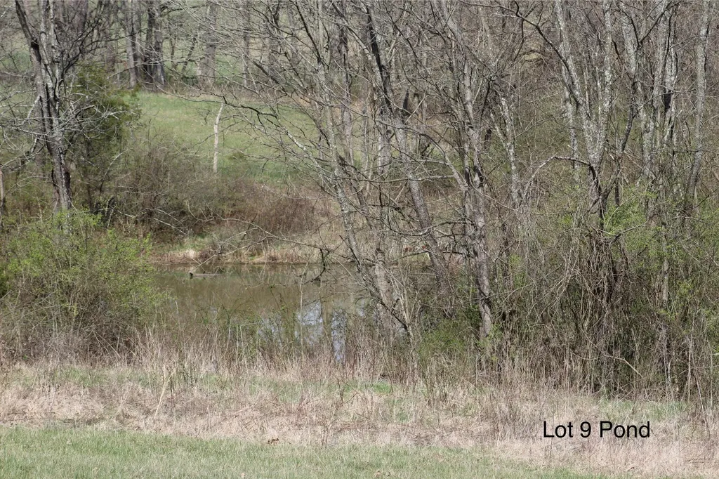 1802 Poindexter Road Cynthiana KY 41031