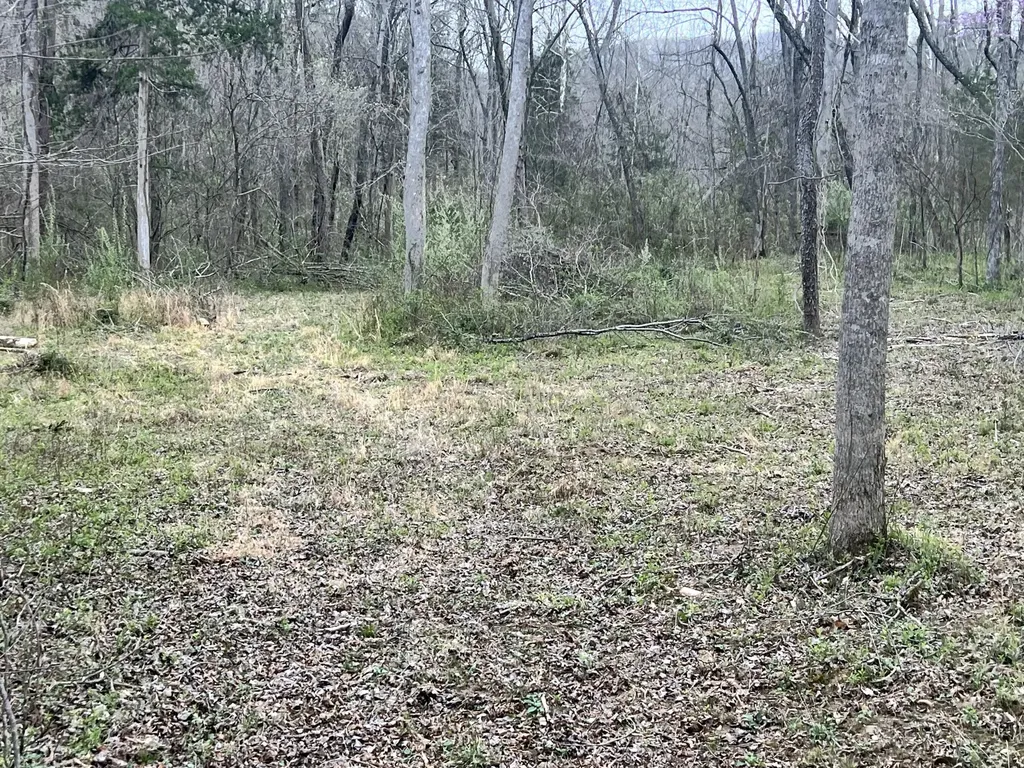 0 Gregory Branch Road Monticello KY 42633