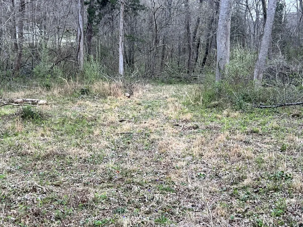 0 Gregory Branch Road Monticello KY 42633