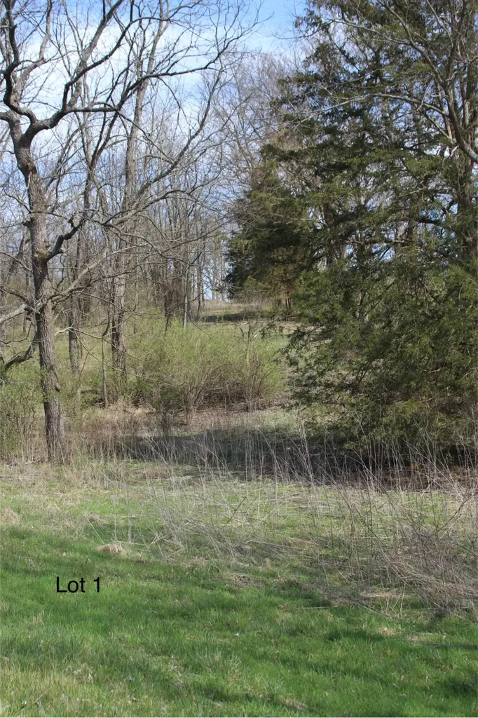 2128 Key Highway 1743 Cynthiana KY 41031