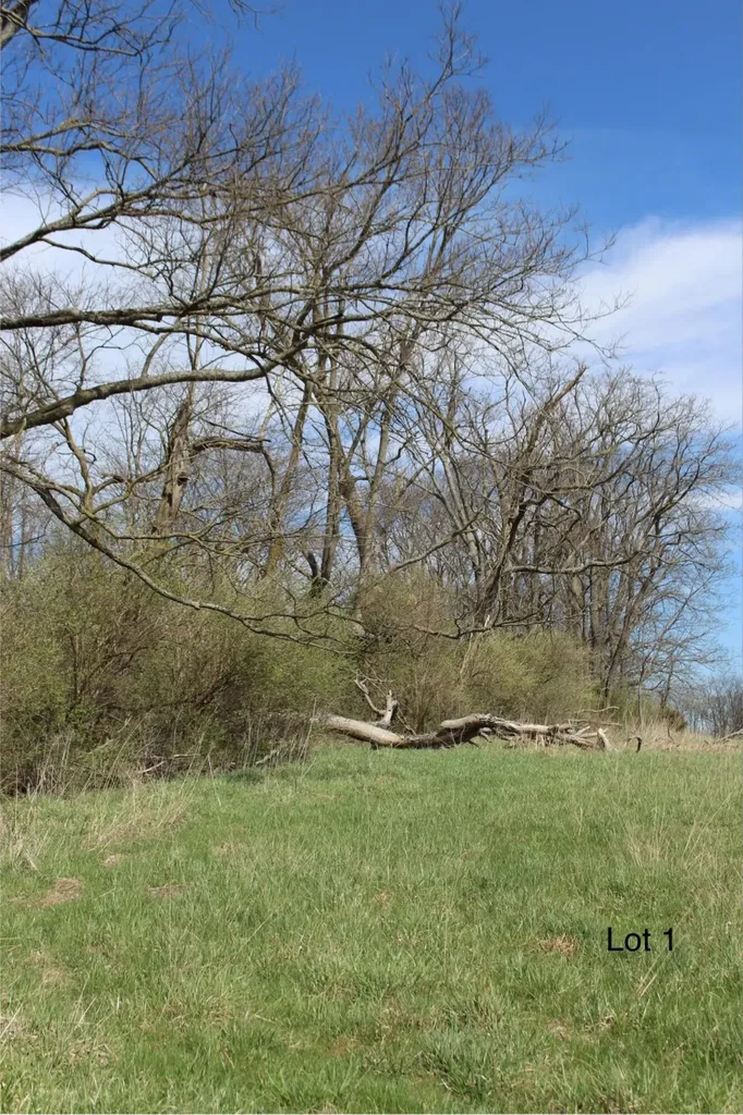 2128 Key Highway 1743 Cynthiana KY 41031