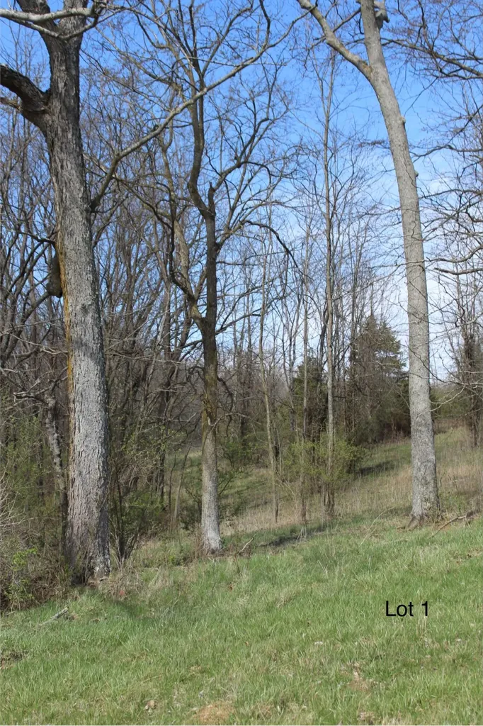 2128 Key Highway 1743 Cynthiana KY 41031