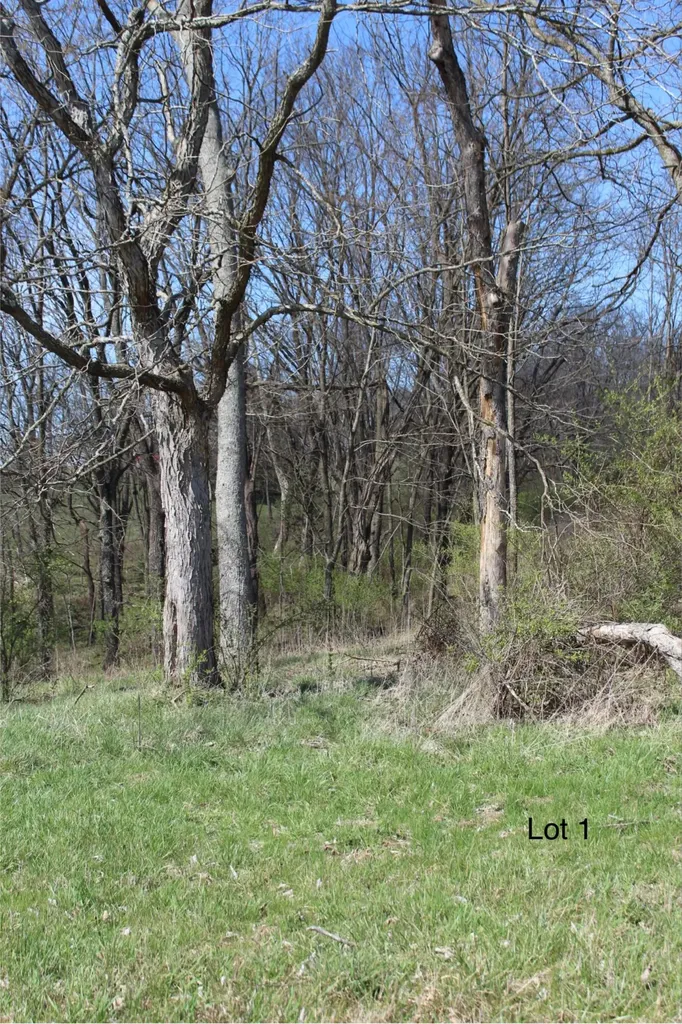 2128 Key Highway 1743 Cynthiana KY 41031