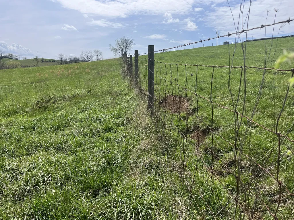 2996 Irvine Road Winchester KY 40391