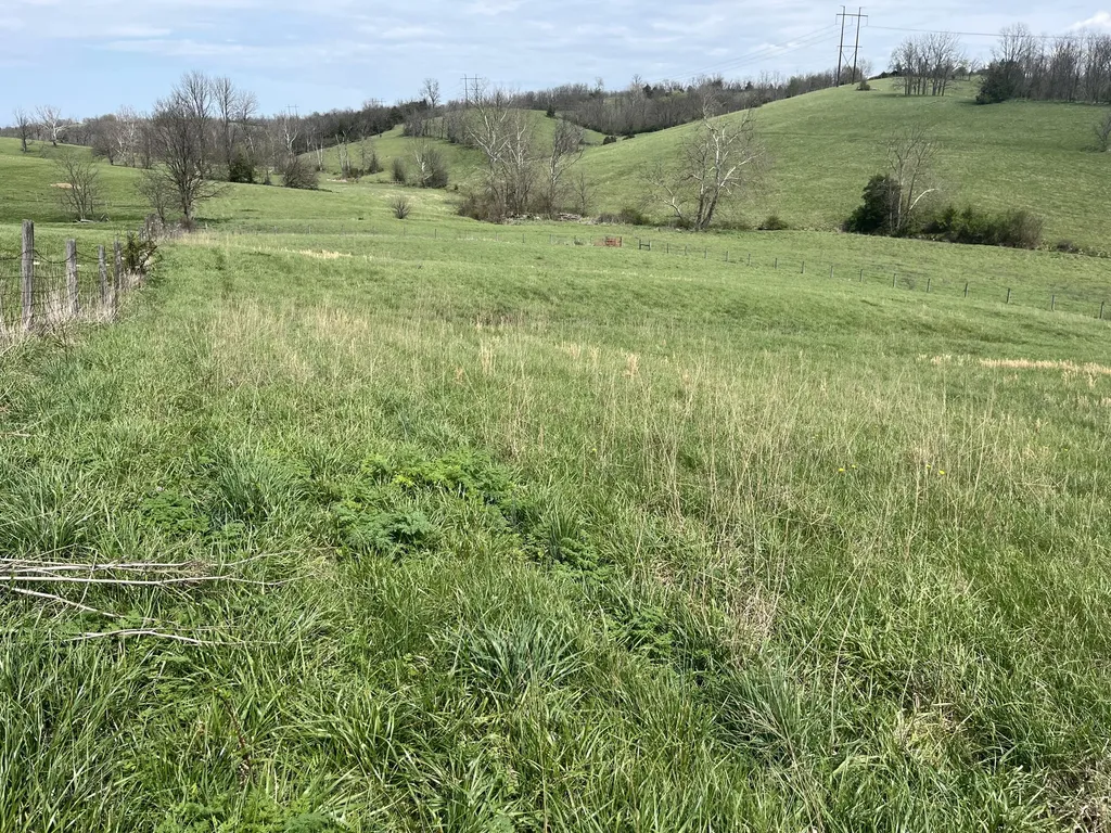 2996 Irvine Road Winchester KY 40391