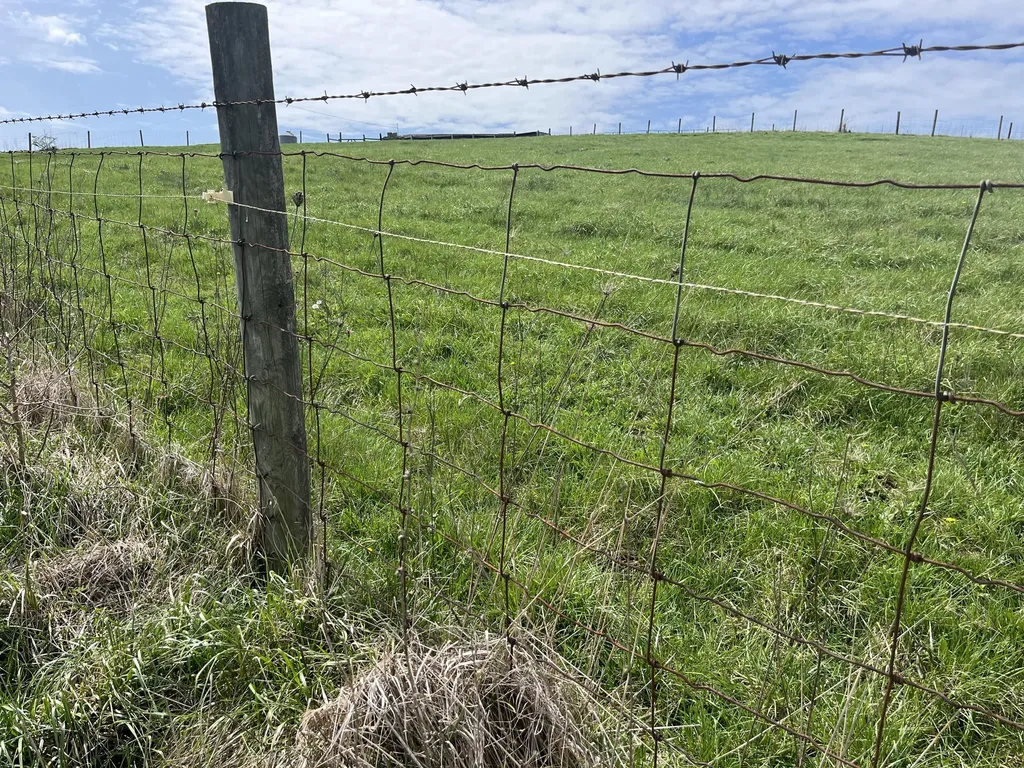 2996 Irvine Road Winchester KY 40391