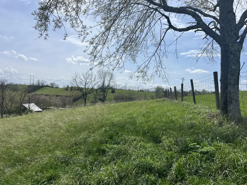 2996 Irvine Road Winchester KY 40391