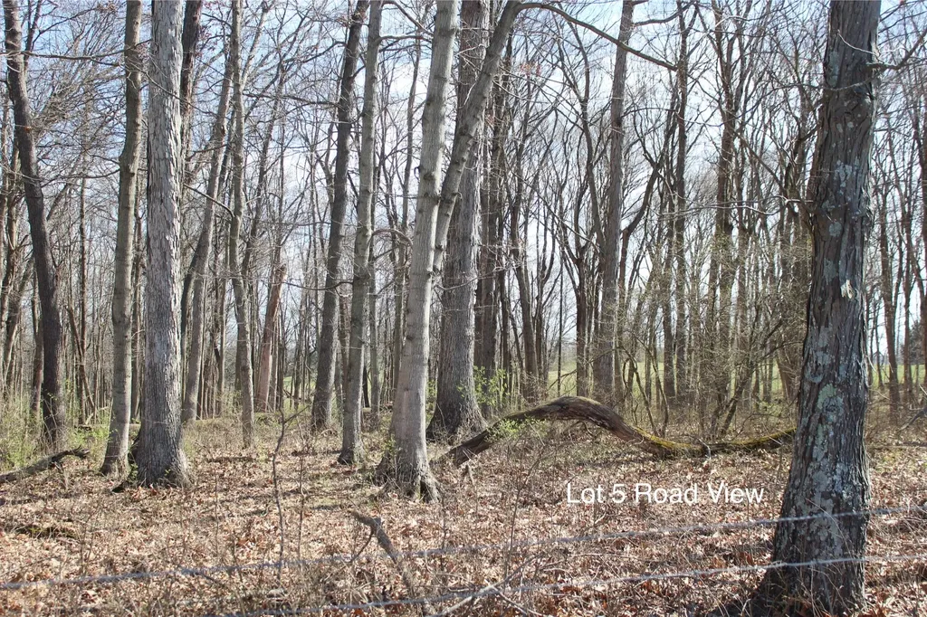 1474 Poindexter Road Cynthiana KY 41031