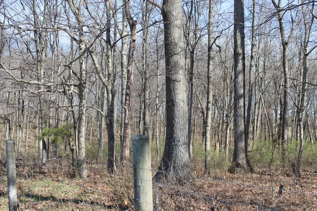 1474 Poindexter Road Cynthiana KY 41031