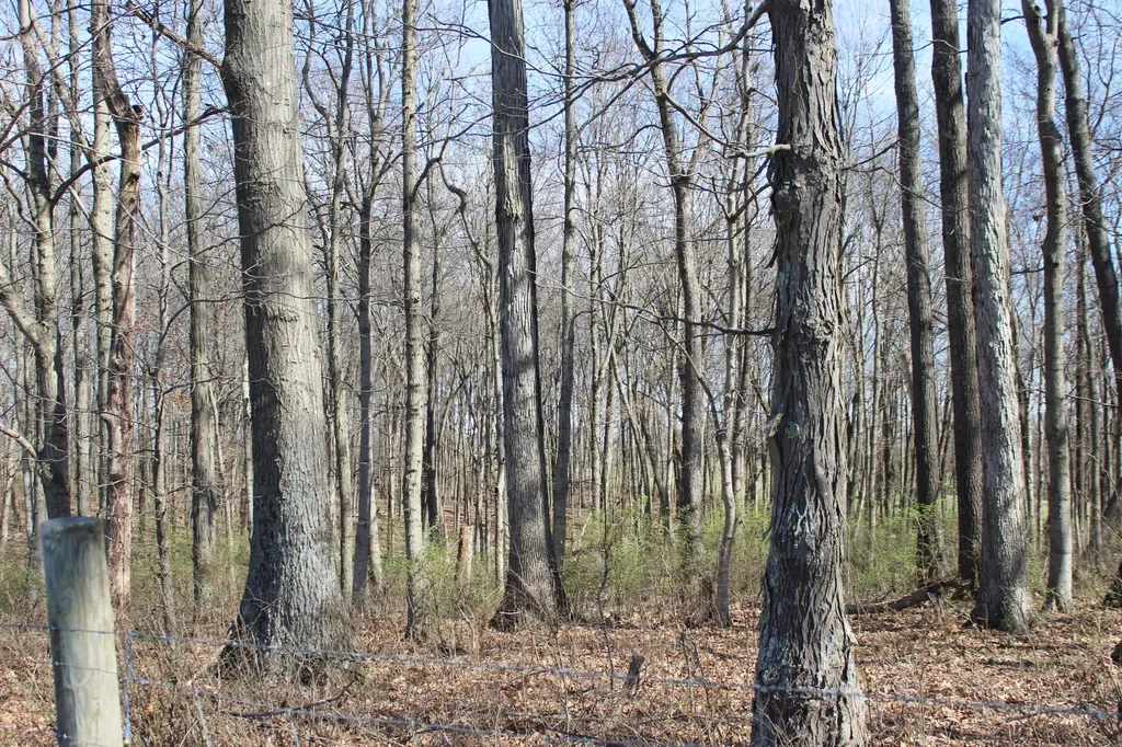 1474 Poindexter Road Cynthiana KY 41031