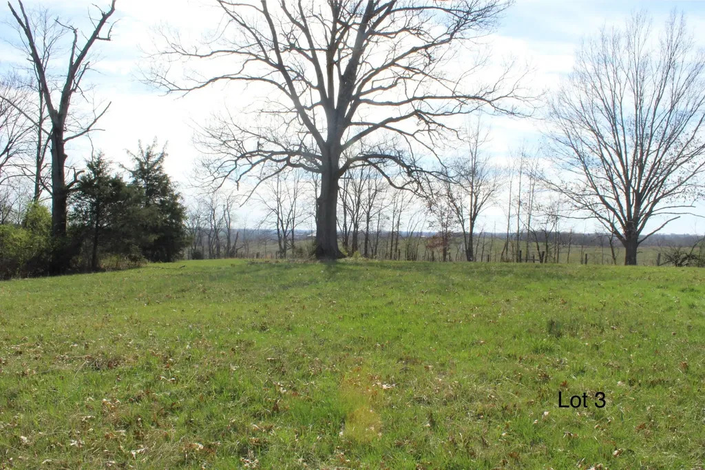 2234 Key Highway 1743 Cynthiana KY 41031