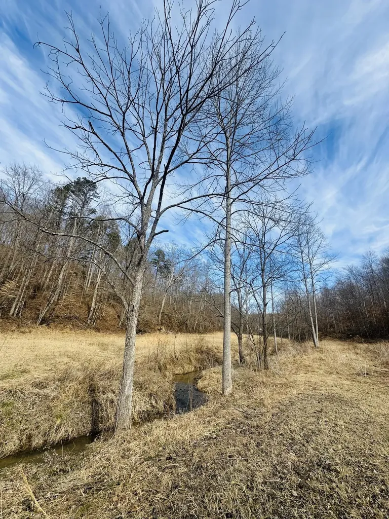 780 Shib Branch Road Manchester KY 40962