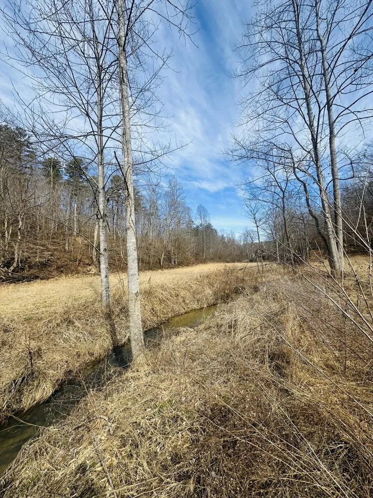 780 Shib Branch Road Manchester KY 40962