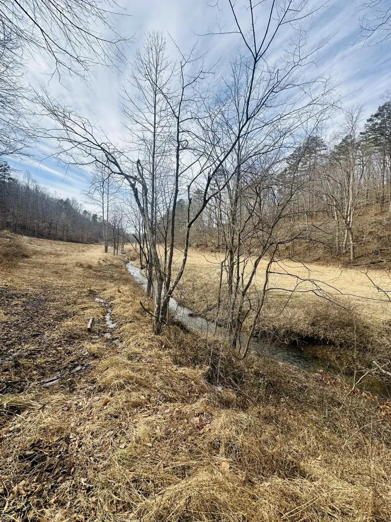 780 Shib Branch Road Manchester KY 40962