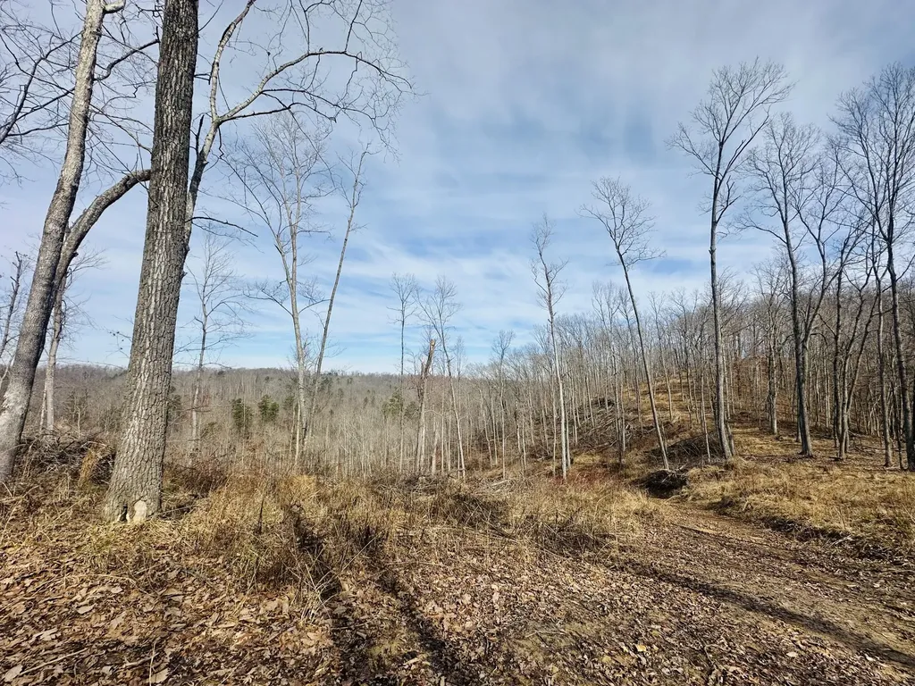 780 Shib Branch Road Manchester KY 40962