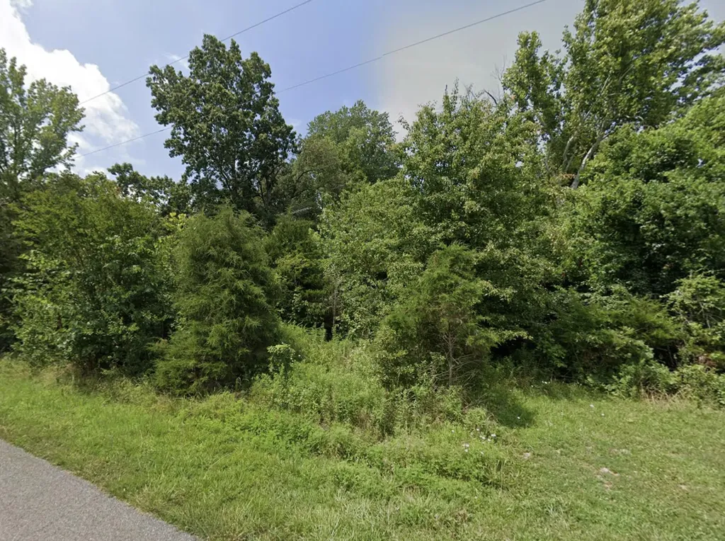 46 Devillez Road Eddyville KY 42038