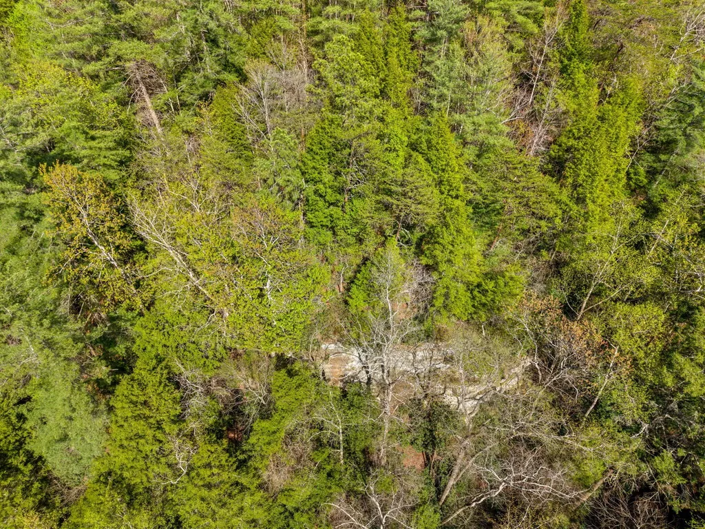 229 Sunrise Lane Rogers KY 41365