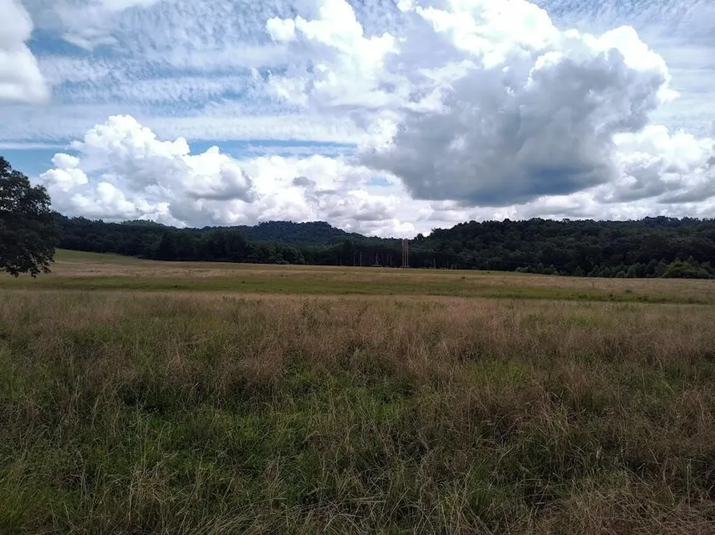 460 Skaggs Road Morehead KY 40351