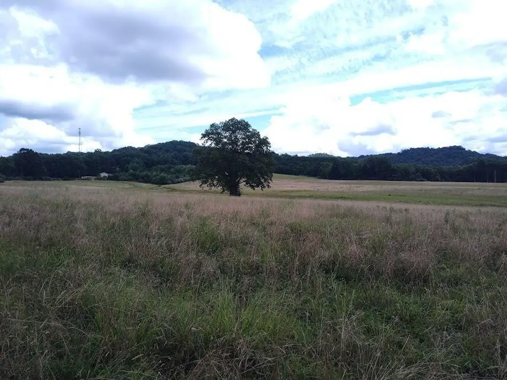 460 Skaggs Road Morehead KY 40351