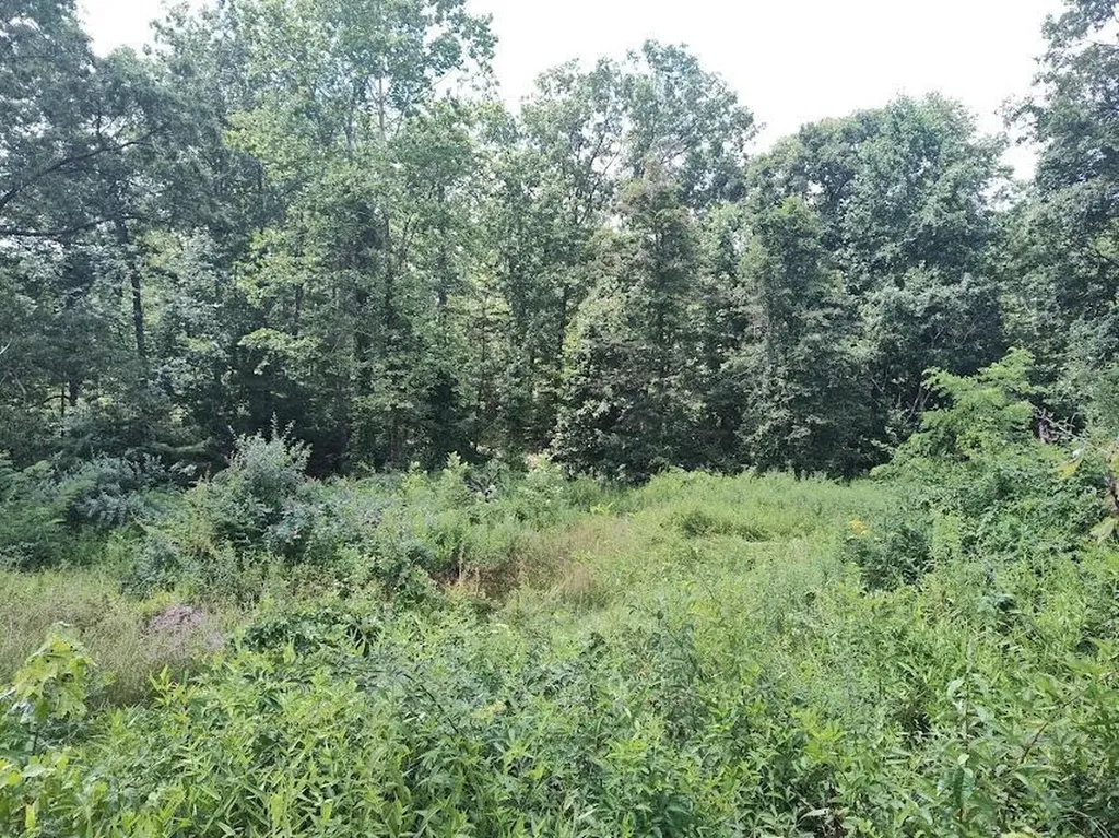 1150 Logan Hollow Road Morehead KY 40351