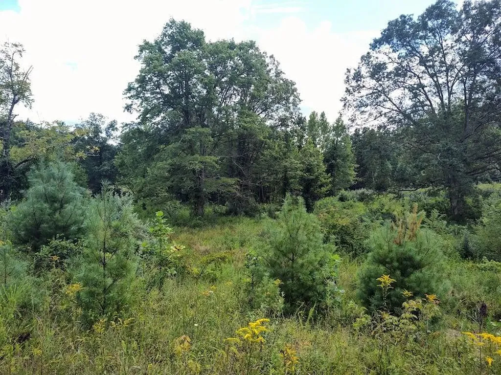 1150 Logan Hollow Road Morehead KY 40351