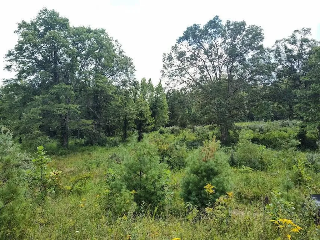 1150 Logan Hollow Road Morehead KY 40351